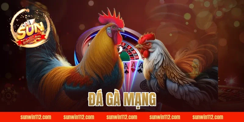 đá gà mạng