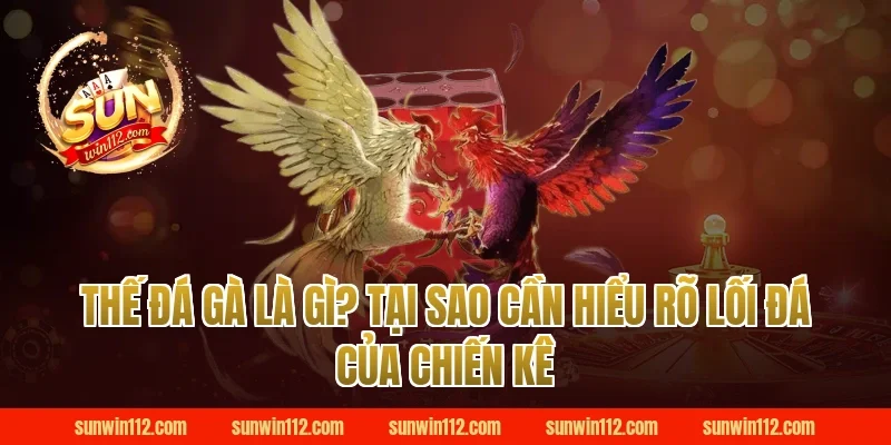 Thế Đá Gà Là Gì? Tại Sao Cần Hiểu Rõ Lối Đá Của Chiến Kê